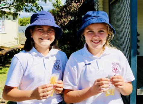 St Peter Chanel School (Motueka) .